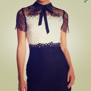 Dress, cocktail (new)